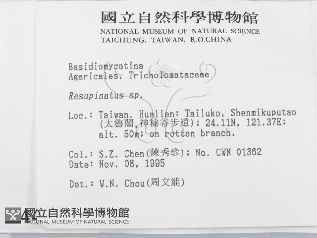 登錄號:F0004442藏品圖，第2張