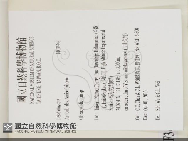 登錄號:F0034442藏品圖，第2張