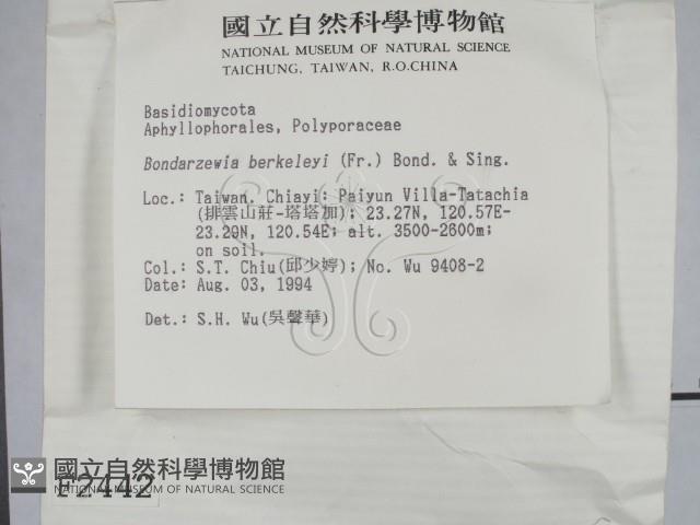 登錄號:F0002442藏品圖，第2張