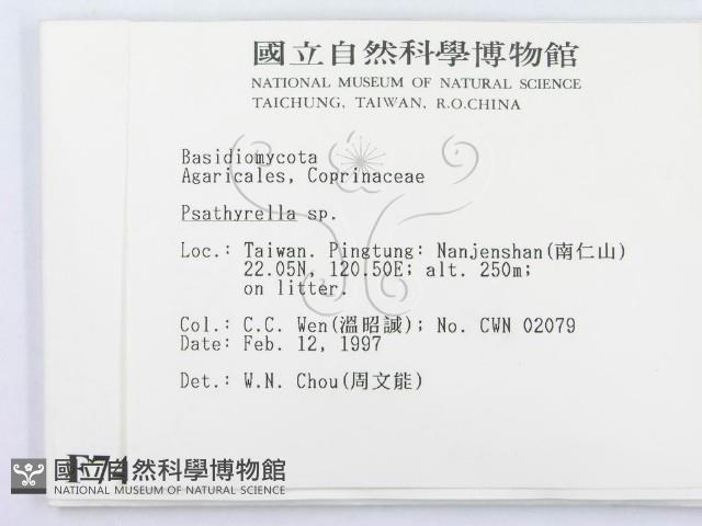 登錄號:F0007442藏品圖，第2張