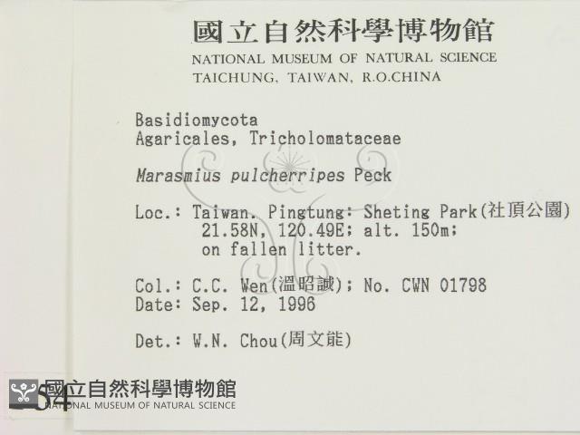 登錄號:F0005442藏品圖，第2張