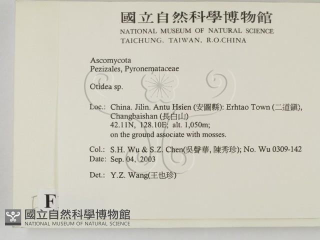 登錄號:F0015442藏品圖，第2張