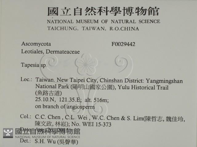 登錄號:F0029442藏品圖，第2張