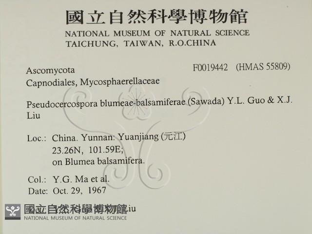 登錄號:F0019442藏品圖，第2張