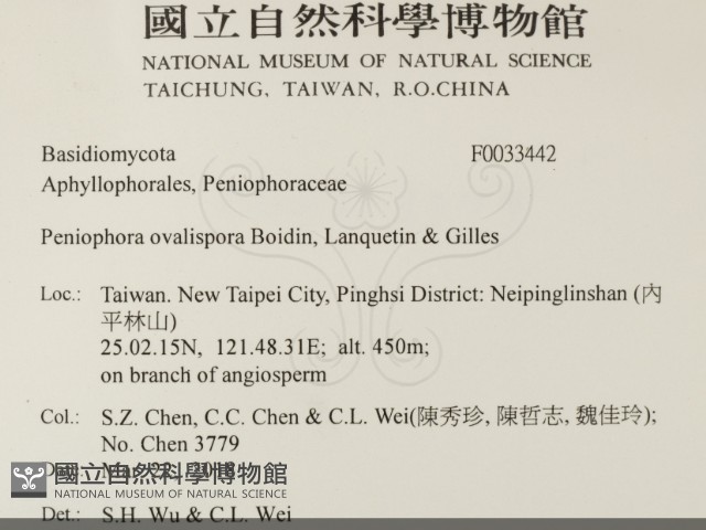 登錄號:F0033442藏品圖，第2張