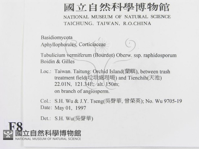 登錄號:F0008742藏品圖，第2張