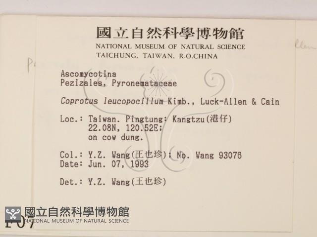 登錄號:F0000742藏品圖，第2張