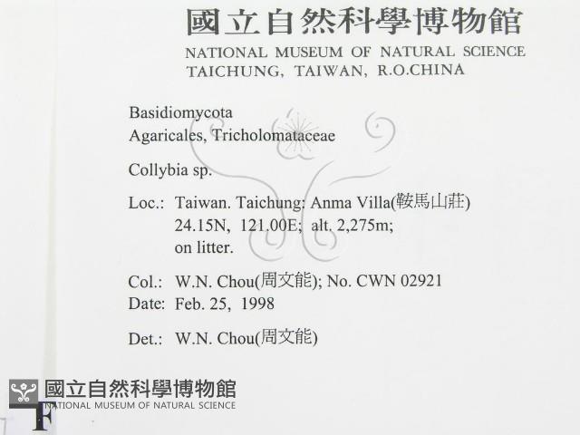 登錄號:F0010742藏品圖，第2張