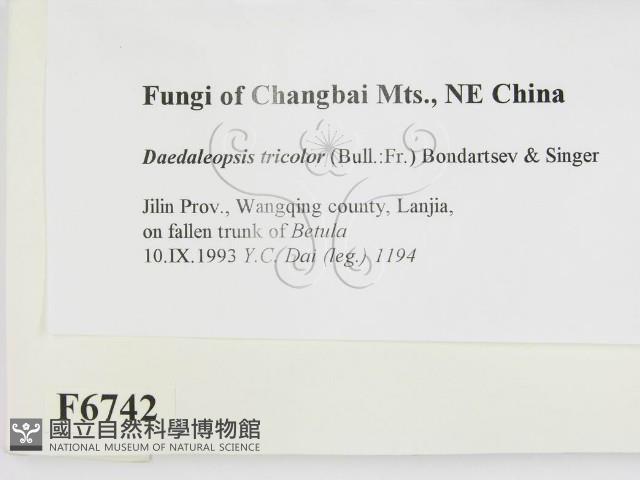 登錄號:F0006742藏品圖，第2張