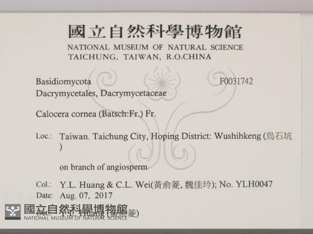 登錄號:F0031742藏品圖，第2張