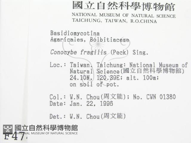 登錄號:F0004742藏品圖，第2張