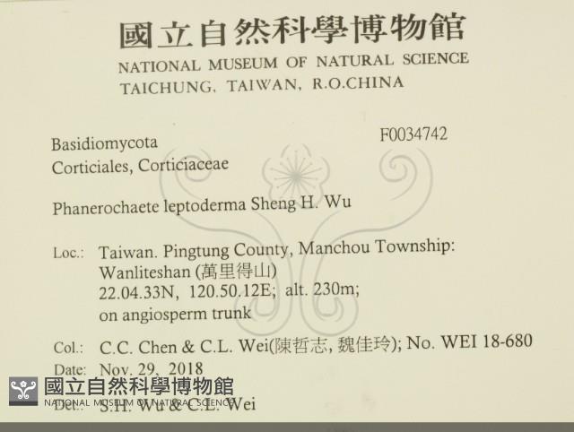 登錄號:F0034742藏品圖，第2張