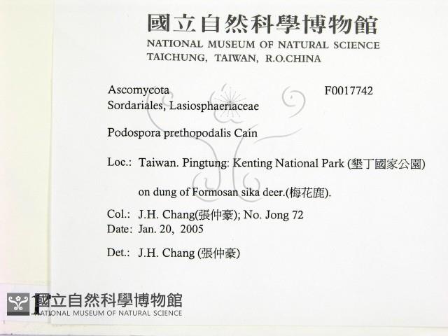 登錄號:F0017742藏品圖，第2張