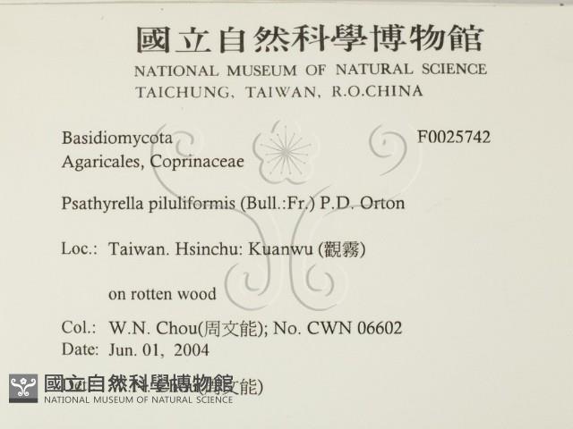 登錄號:F0025742藏品圖，第2張