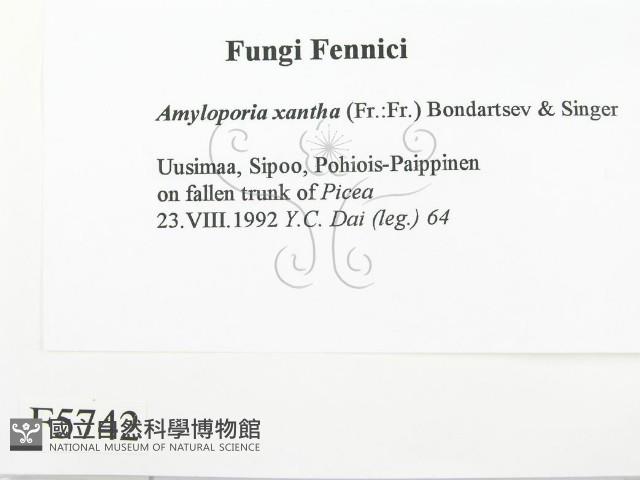 登錄號:F0005742藏品圖，第2張