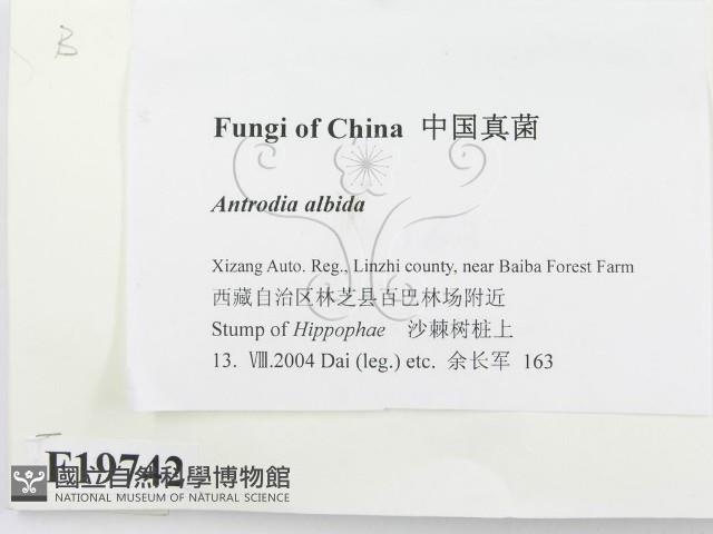 登錄號:F0019742藏品圖，第2張