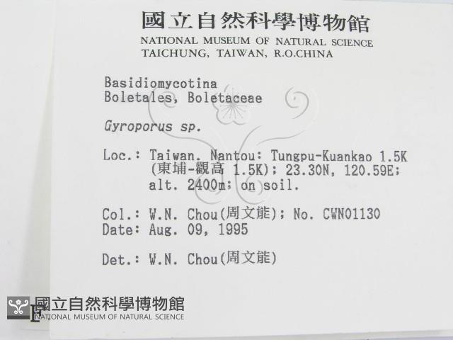 登錄號:F0003742藏品圖，第2張