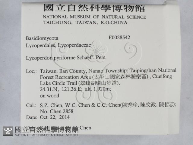 登錄號:F0028542藏品圖，第2張