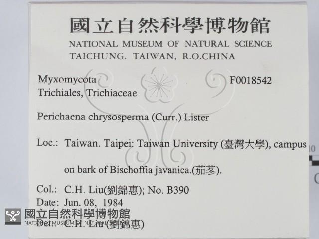 登錄號:F0018542藏品圖，第2張