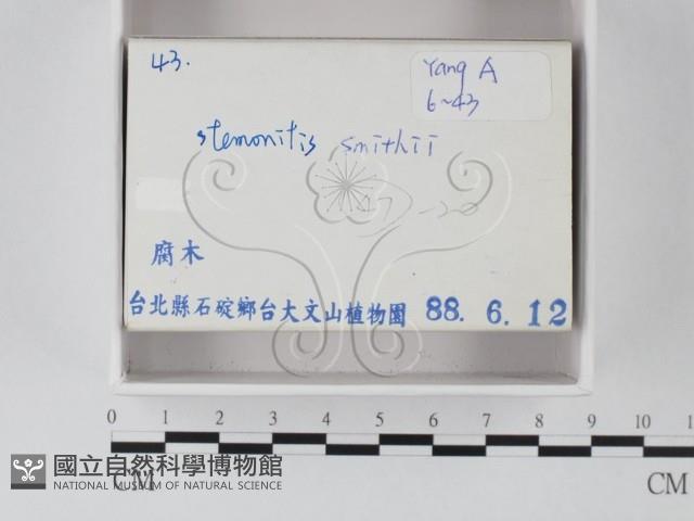 登錄號:F0020542藏品圖，第2張
