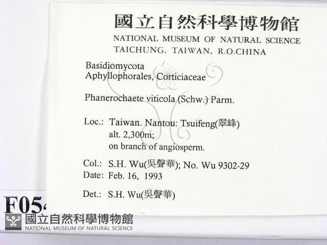登錄號:F0000542藏品圖，第2張