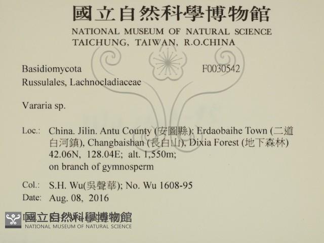 登錄號:F0030542藏品圖，第2張