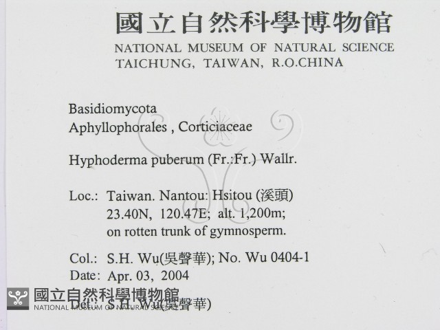 登錄號:F0016542藏品圖，第2張