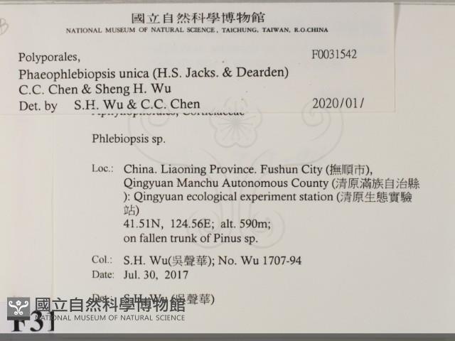 登錄號:F0031542藏品圖，第2張