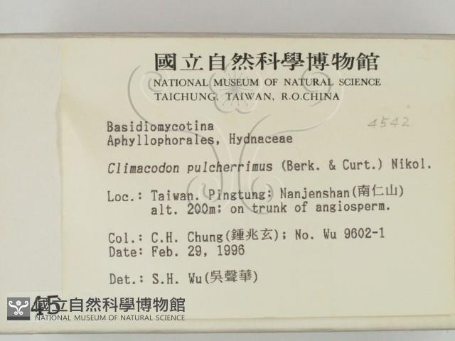 登錄號:F0004542藏品圖，第2張