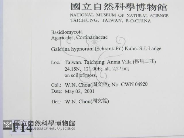 登錄號:F0014542藏品圖，第2張