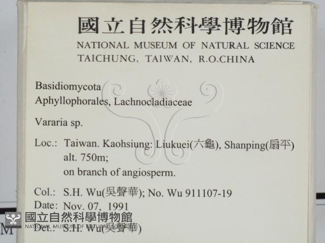 登錄號:F0002542藏品圖，第2張