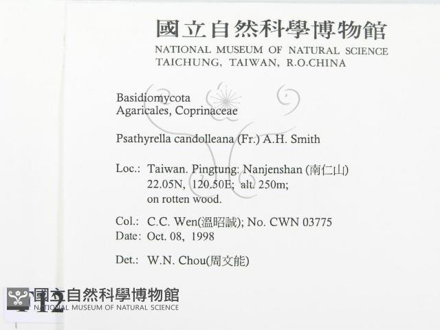 登錄號:F0012542藏品圖，第2張
