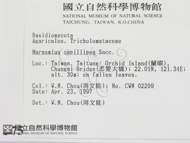 登錄號:F0007542藏品圖，第2張