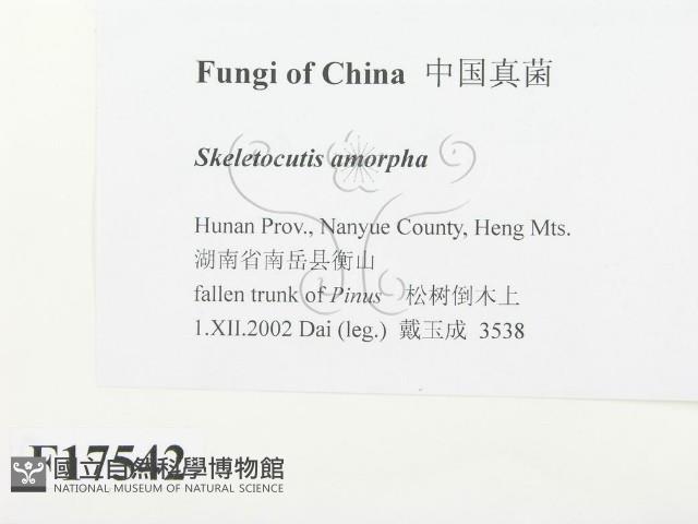 登錄號:F0017542藏品圖，第2張