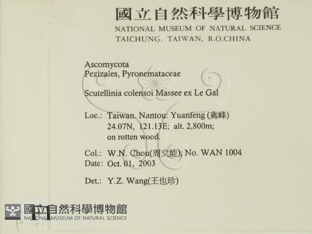 登錄號:F0015542藏品圖，第2張