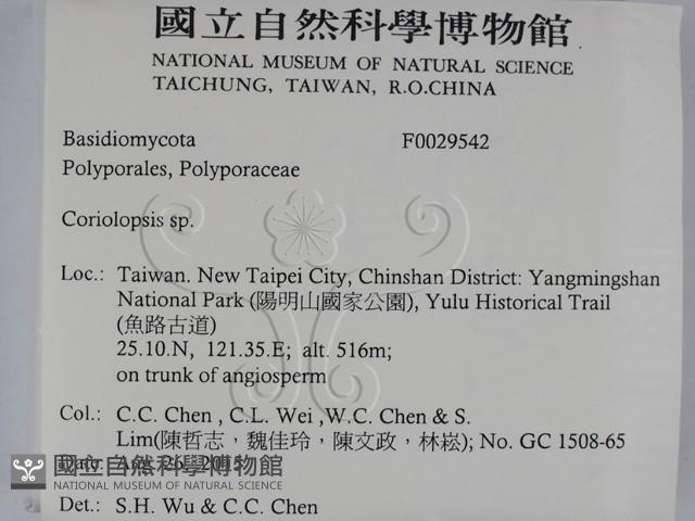 登錄號:F0029542藏品圖，第2張