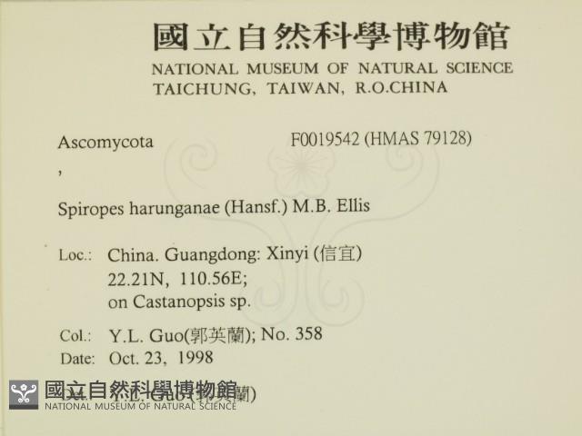 登錄號:F0019542藏品圖，第2張