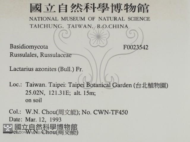 登錄號:F0023542藏品圖，第2張