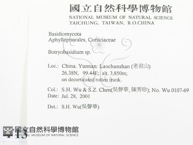 串擔革菌屬藏品圖，第2張