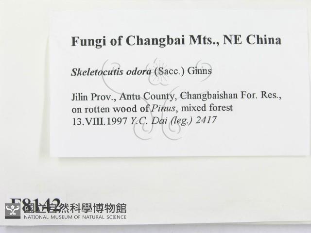 登錄號:F0008142藏品圖，第2張