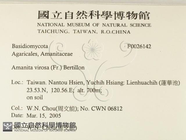 登錄號:F0026142藏品圖，第2張