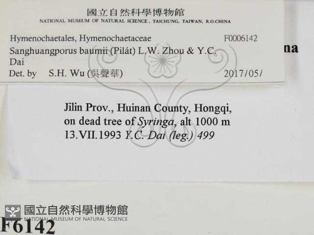 登錄號:F0006142藏品圖，第2張