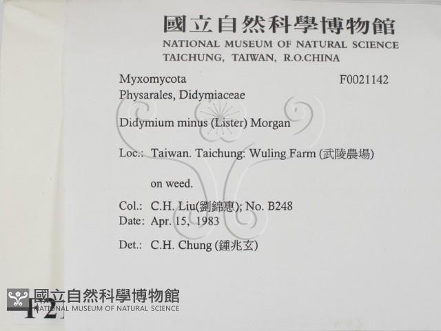 登錄號:F0021142藏品圖，第2張