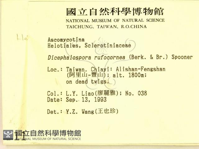 登錄號:F0001142藏品圖，第2張