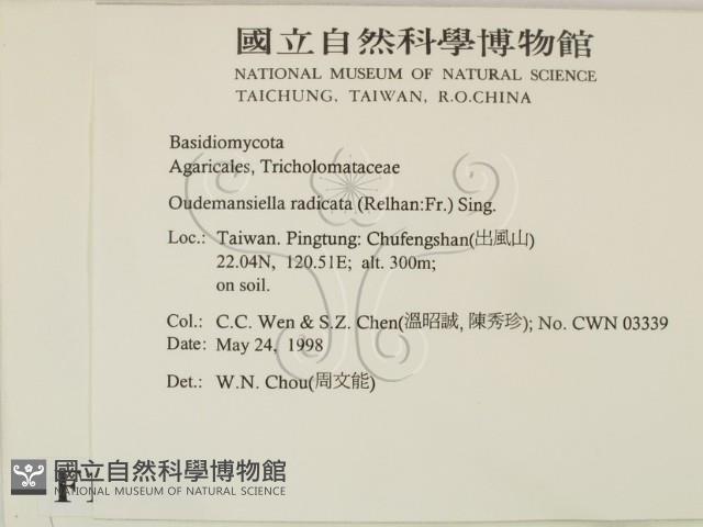 登錄號:F0011142藏品圖，第2張