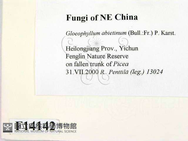 登錄號:F0014142藏品圖，第2張