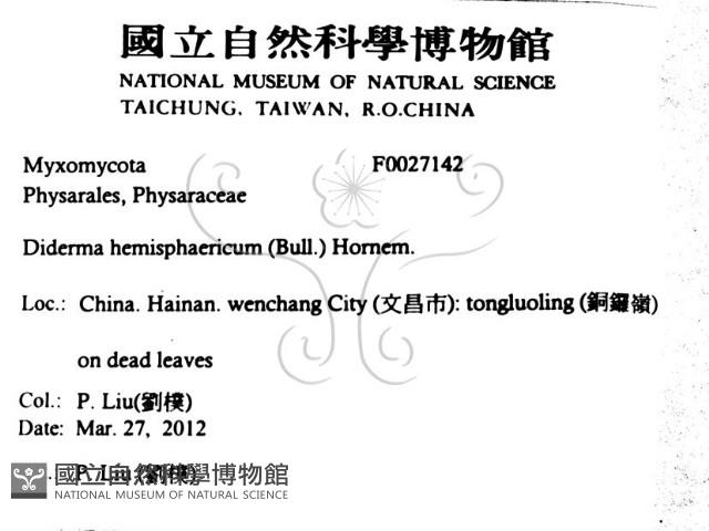 登錄號:F0027142藏品圖，第2張