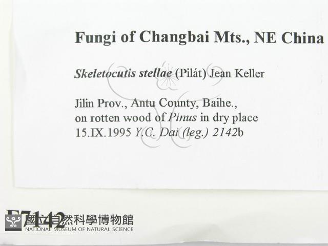 登錄號:F0007142藏品圖，第2張