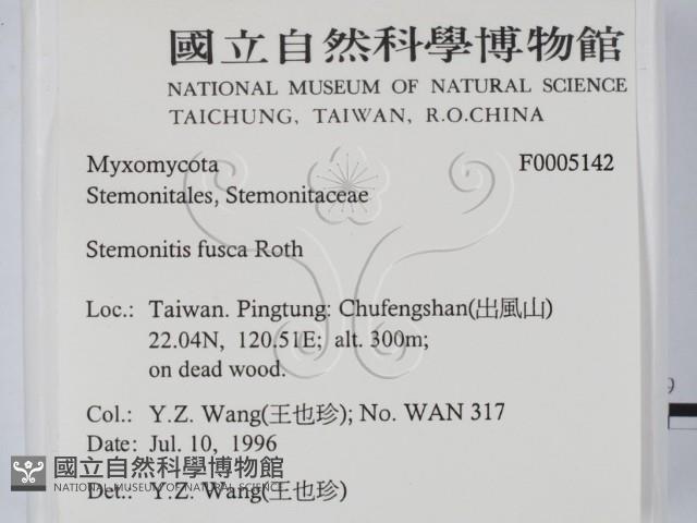 登錄號:F0005142藏品圖，第2張