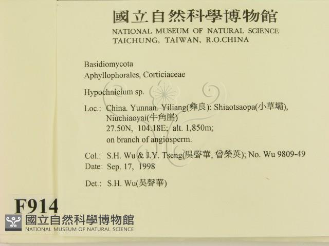 登錄號:F0009142藏品圖，第2張